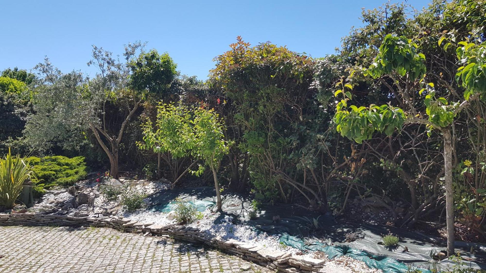 Apartmán Les Rives Montans Pokoj fotografie